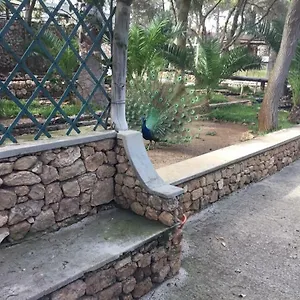 Quarto em Acomodações Particulares 16, Porto Santo